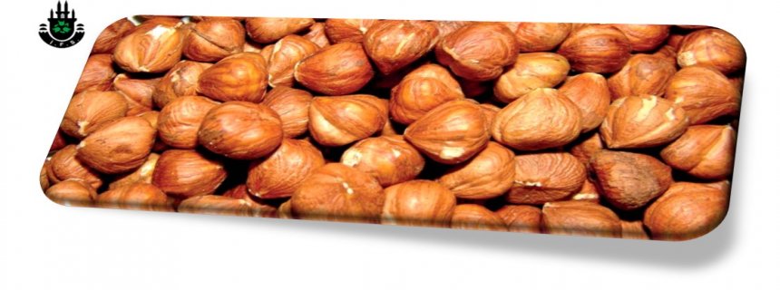 Naturel Fındık
